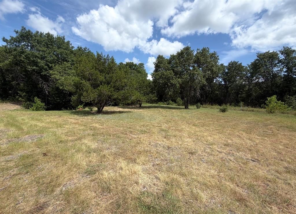 1050 Rose Court , Nemo, TX 76070 Main Photo