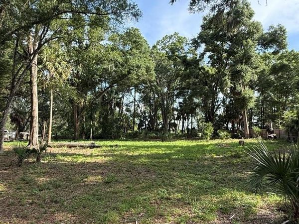 25555 SE Hwy 19, Old Town, FL 32680