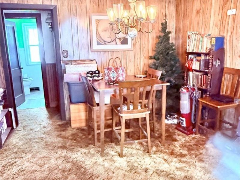 920 E 15th Street, Ashtabula, OH 44004 Photo 3