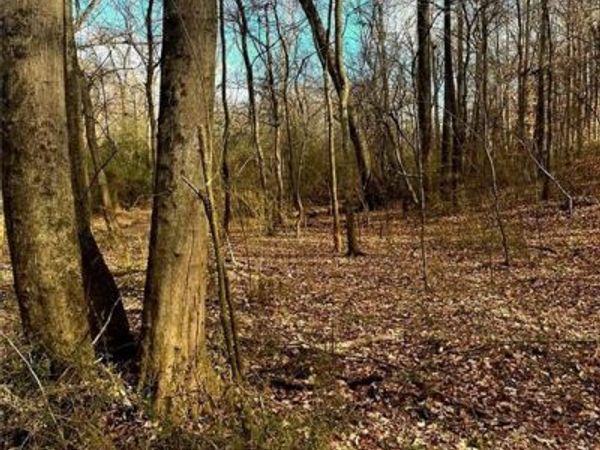 0 Maxham Road , Austell, GA 30168