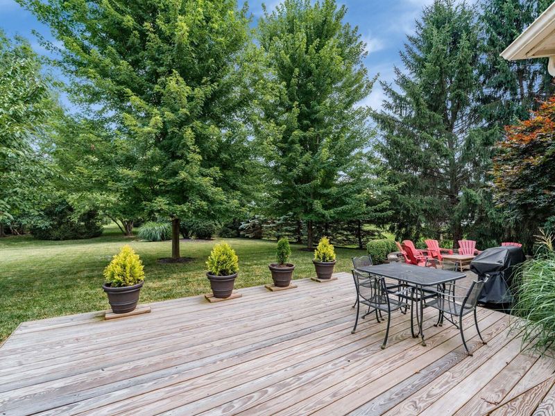 5835 Mist Flower Lane, Westerville, OH 43082 Photo 53