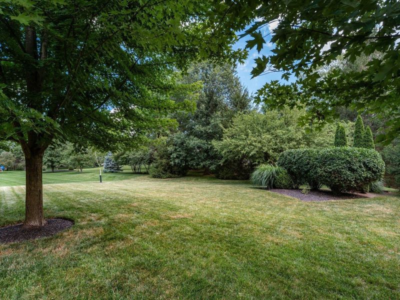 5835 Mist Flower Lane, Westerville, OH 43082 Photo 55
