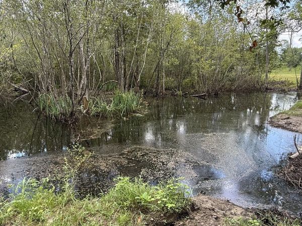 0 E Delta Lane , Marianna, FL 32448
