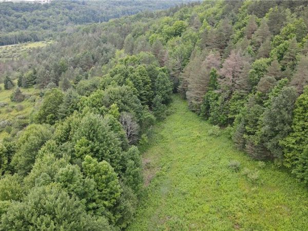 0 Hornell Reservoir Road , Hornell, NY 14843