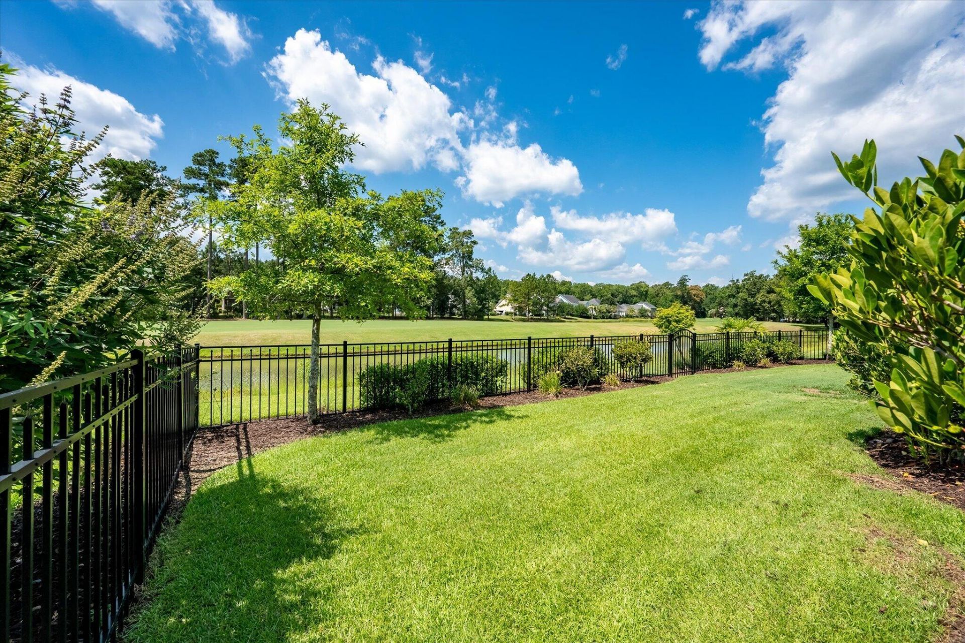 329 Silver Cypress Circle Photo 8