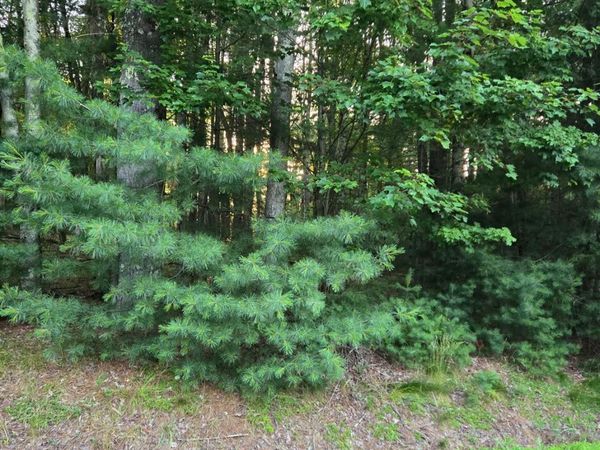 Horseshoe Lake Road , Bethel, NY 12764
