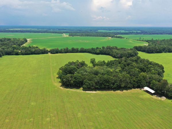 xx Max Herrin Road , Quincy, FL 32351