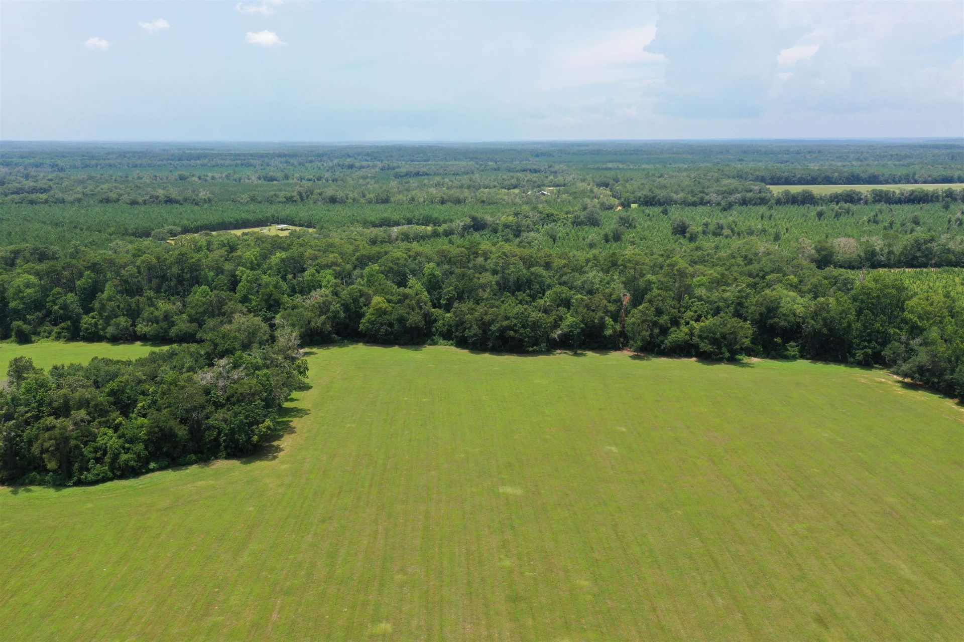 Xx Max Herrin Road , Quincy, FL 32351 Photo