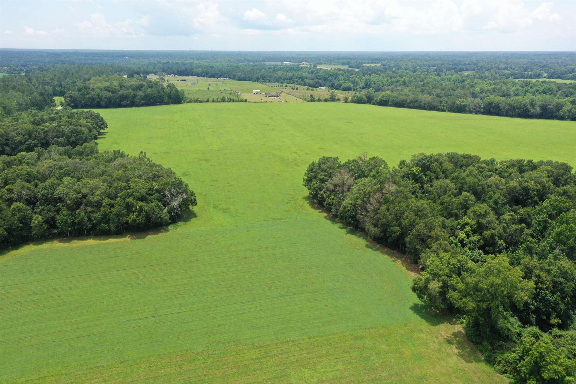 Xx Max Herrin Road , Quincy, FL 32351 Photo