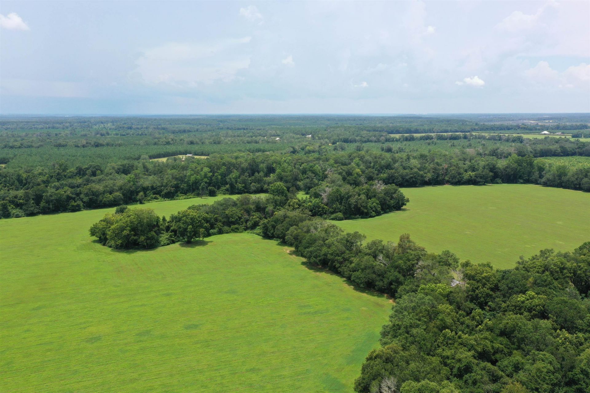 Xx Max Herrin Road , Quincy, FL 32351 Photo