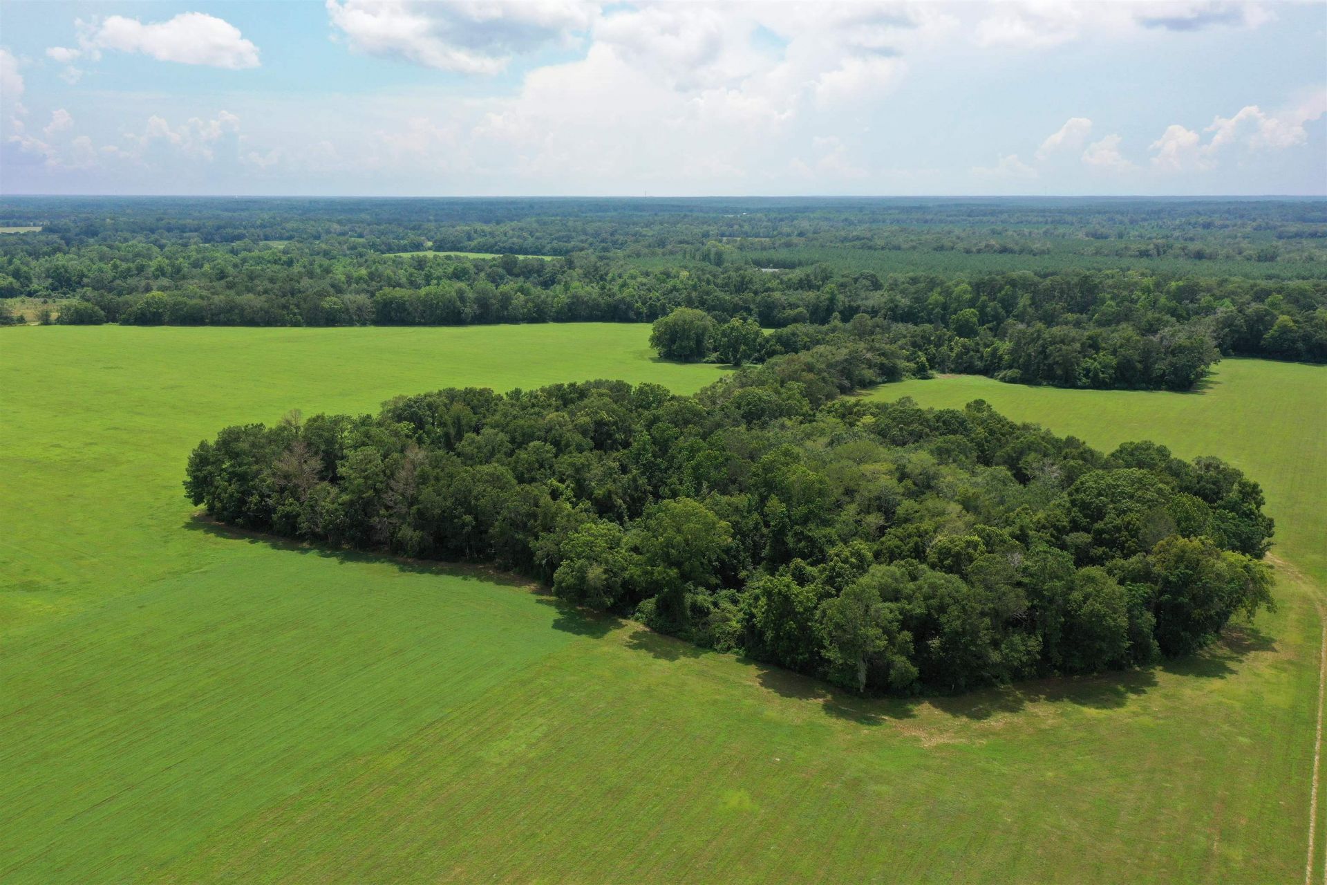 Xx Max Herrin Road , Quincy, FL 32351 Photo