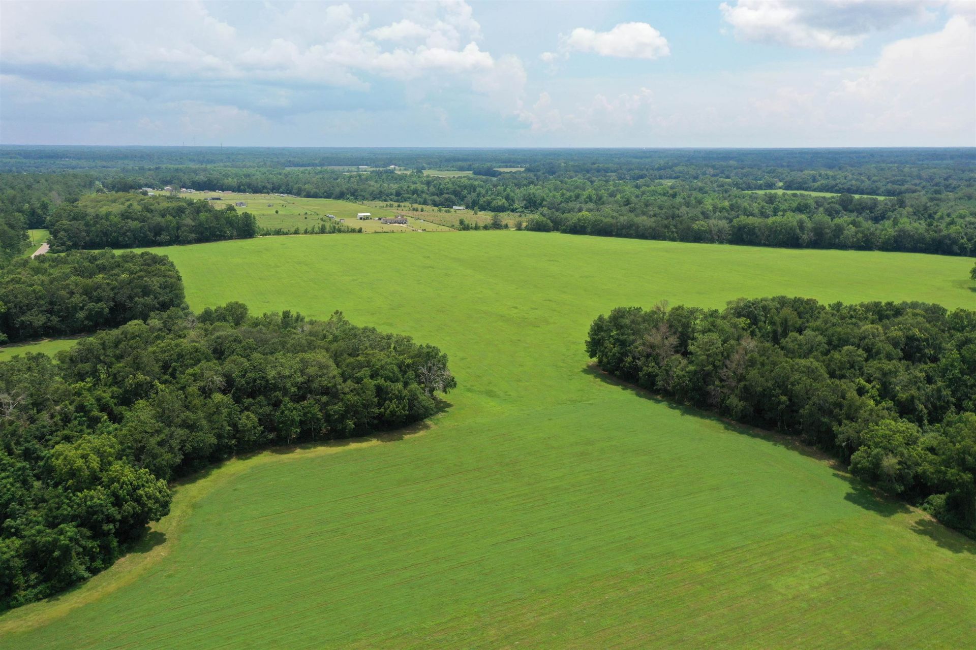 Xx Max Herrin Road , Quincy, FL 32351 Photo