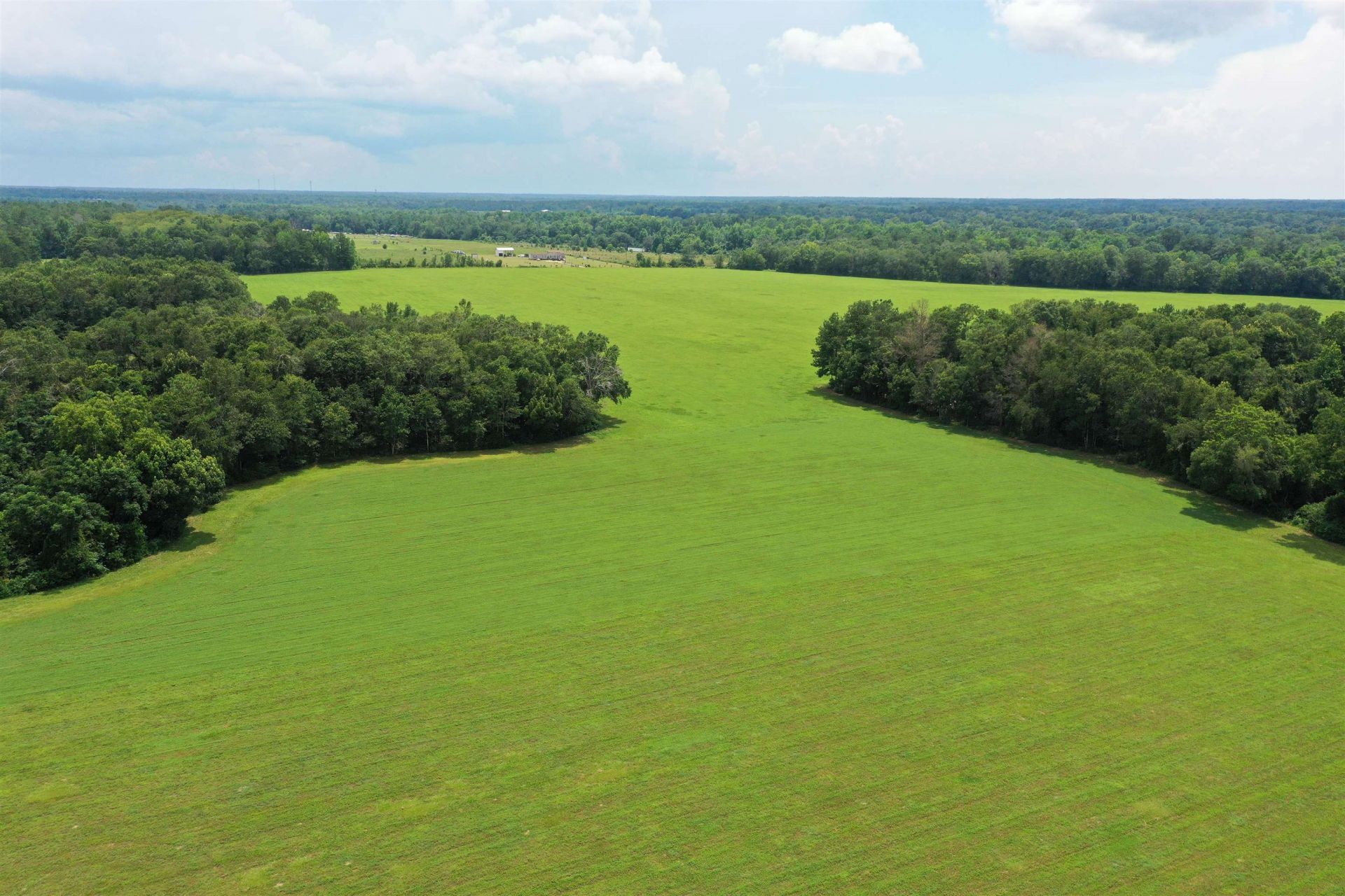 Xx Max Herrin Road , Quincy, FL 32351 Photo