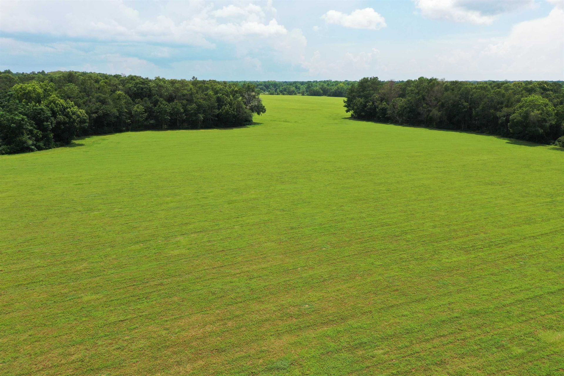 Xx Max Herrin Road , Quincy, FL 32351 Photo