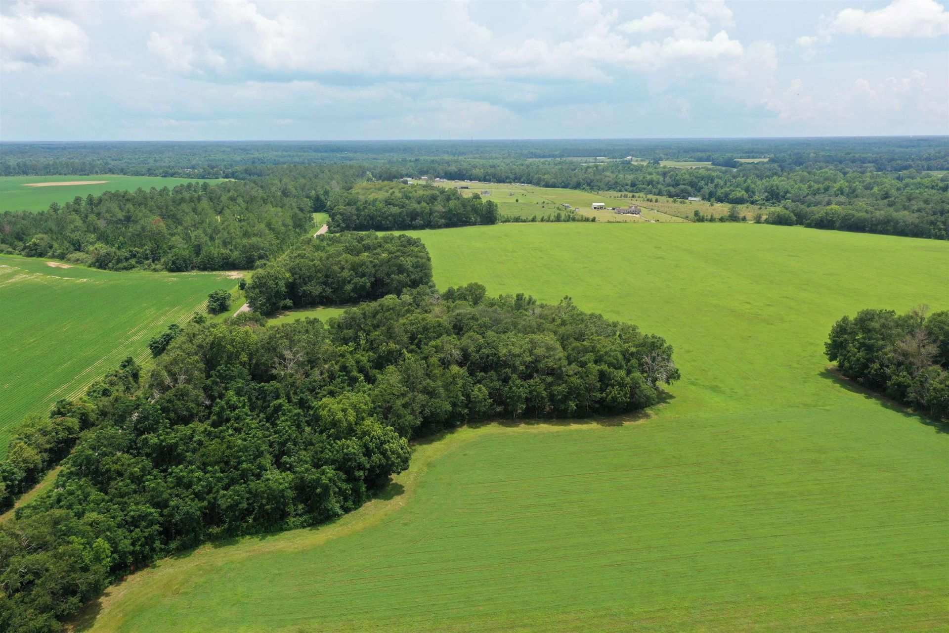 Xx Max Herrin Road , Quincy, FL 32351 Photo