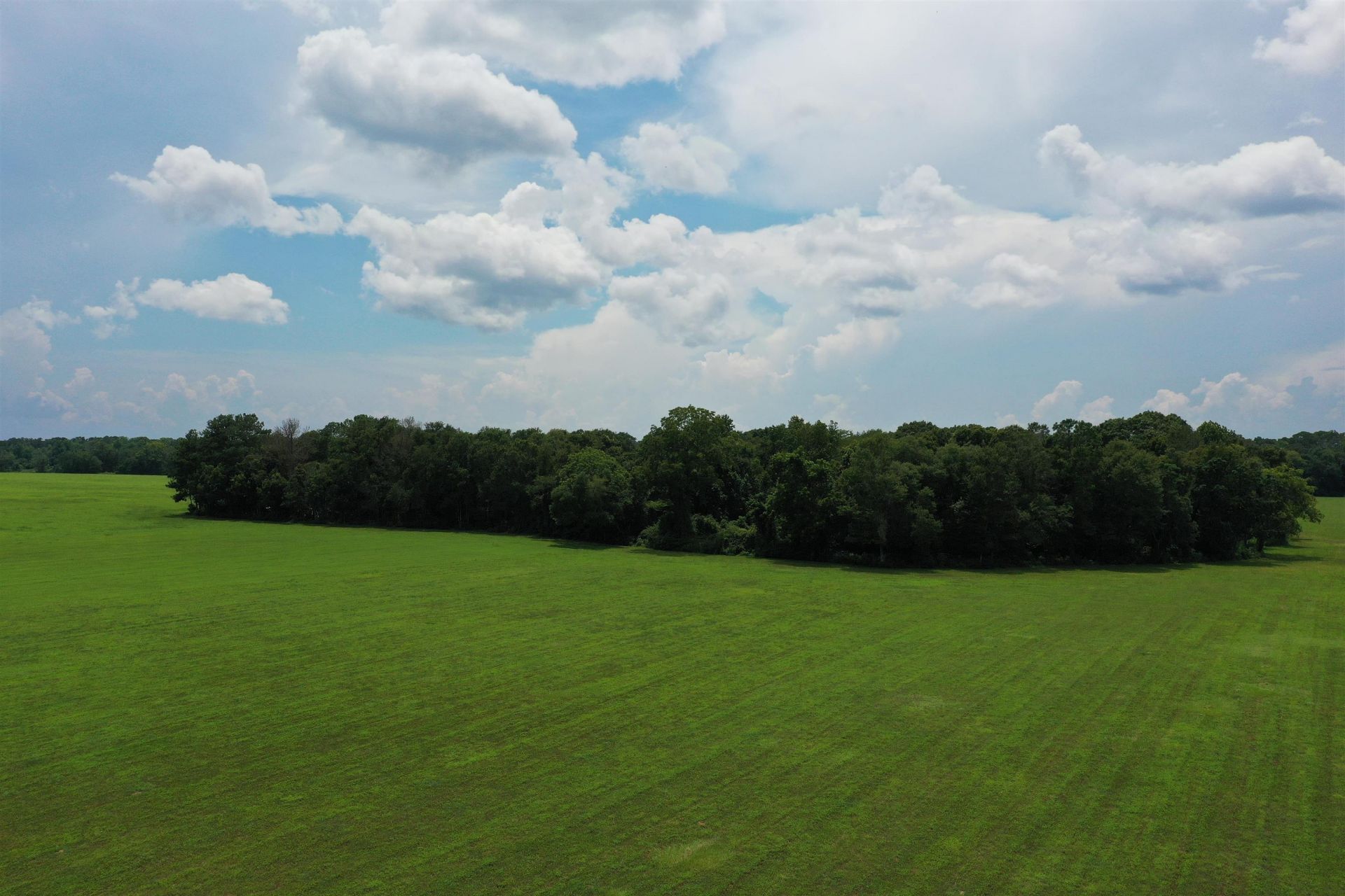 Xx Max Herrin Road , Quincy, FL 32351 Photo