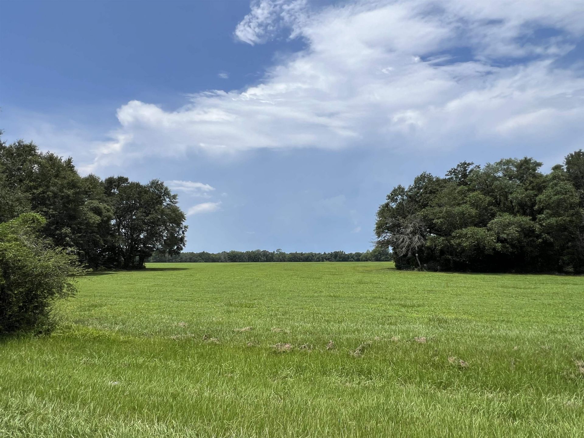 Xx Max Herrin Road , Quincy, FL 32351 Photo