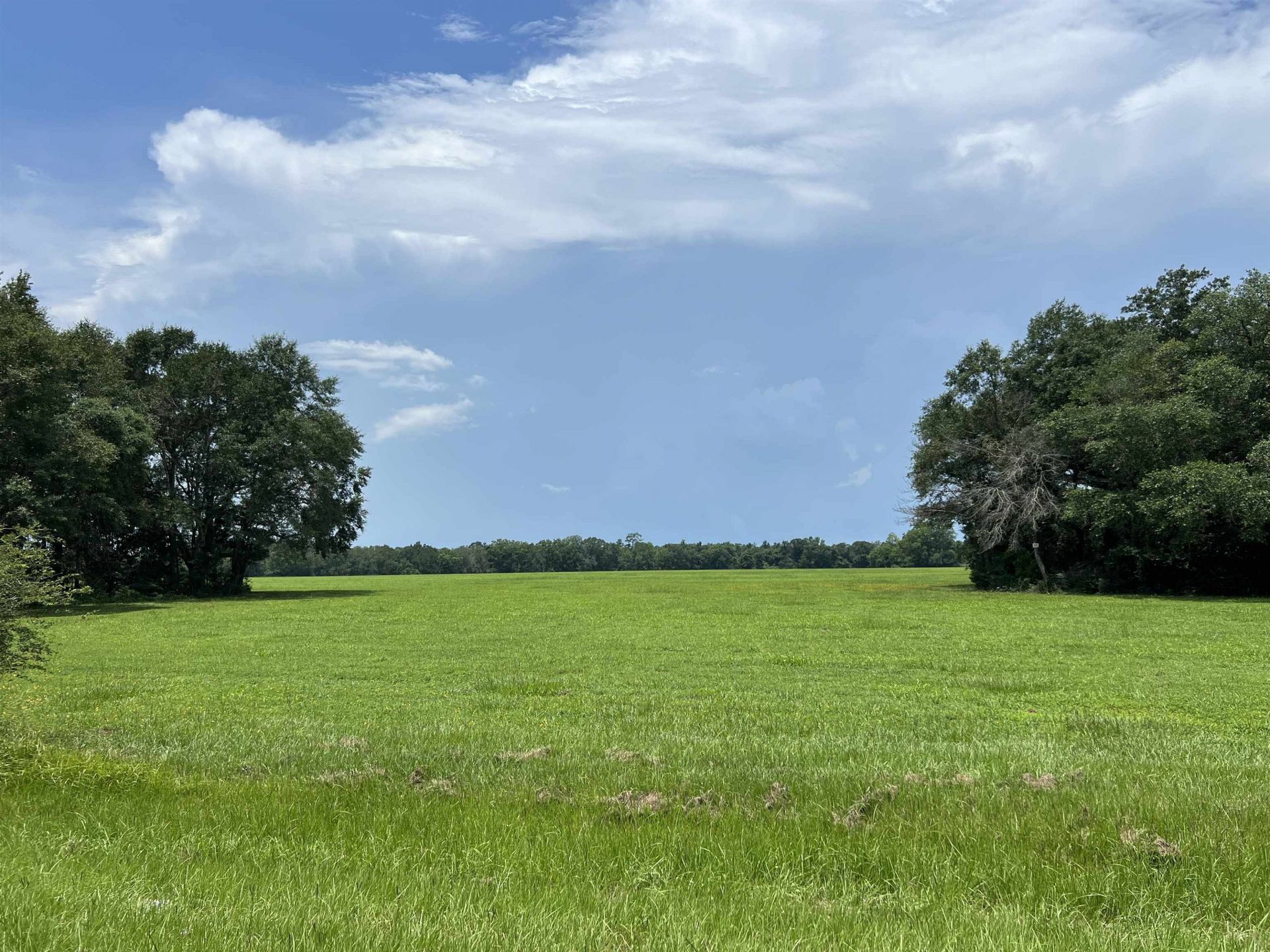 Xx Max Herrin Road , Quincy, FL 32351 Photo