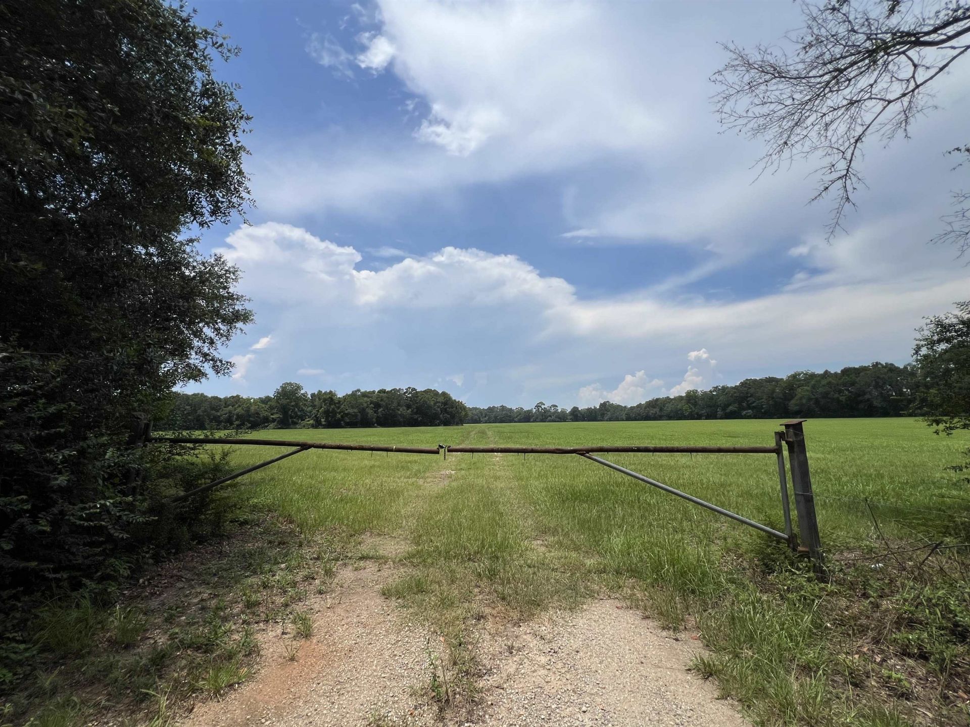Xx Max Herrin Road , Quincy, FL 32351 Photo