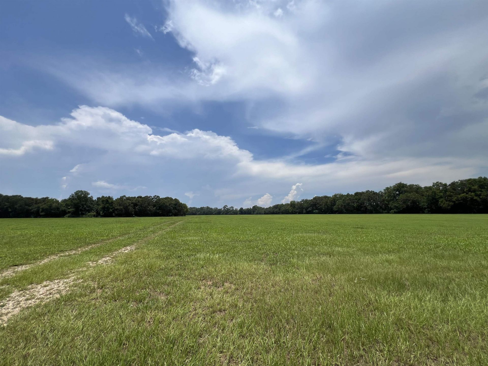 Xx Max Herrin Road , Quincy, FL 32351 Photo