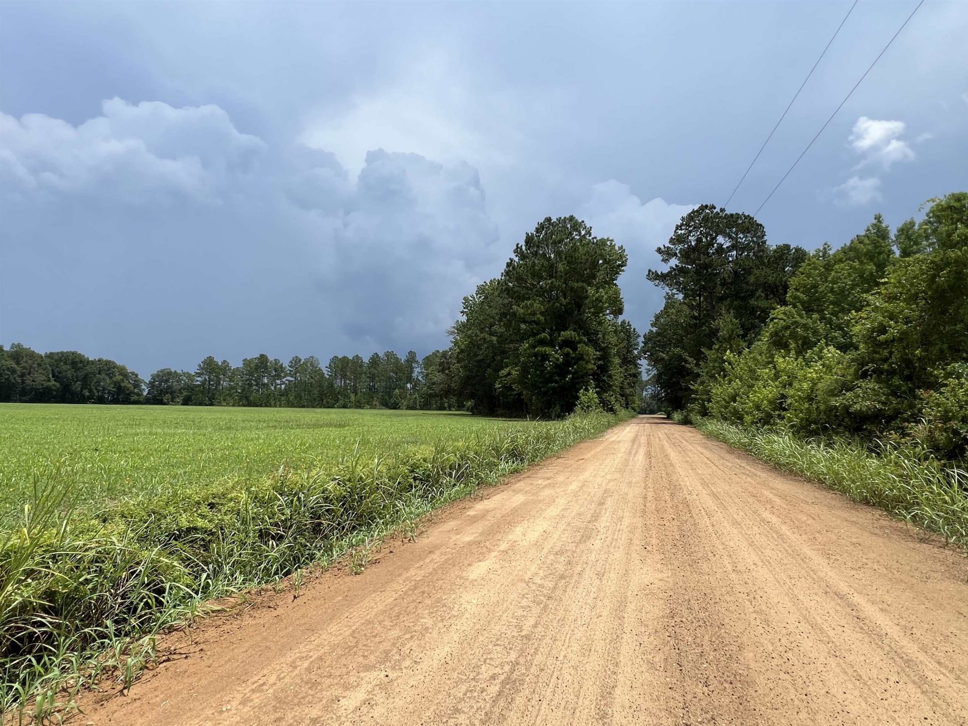 Xx Max Herrin Road , Quincy, FL 32351 Photo