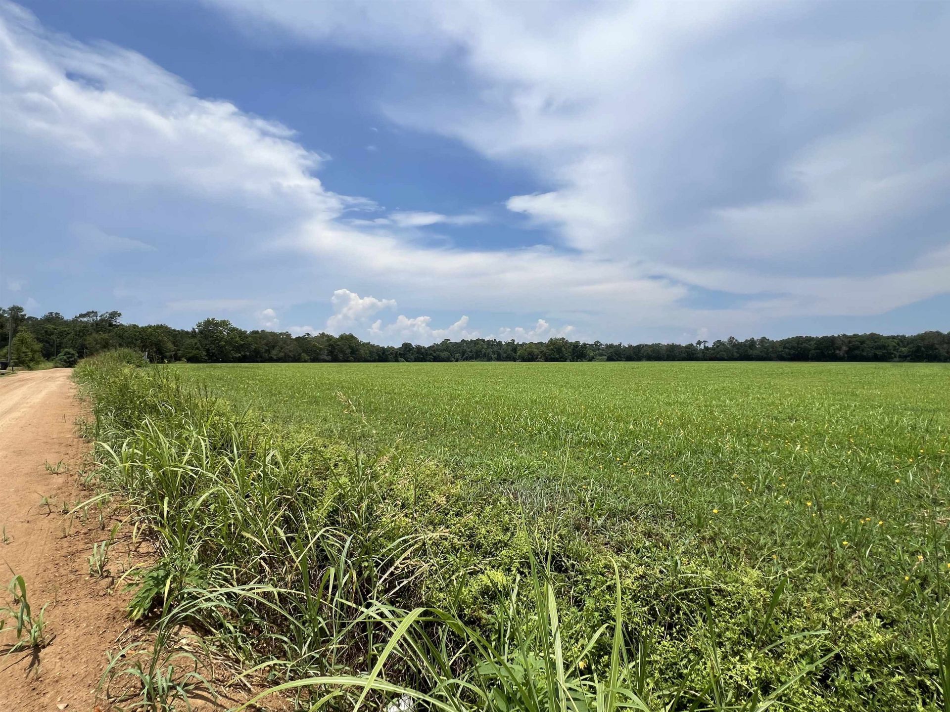 Xx Max Herrin Road , Quincy, FL 32351 Photo