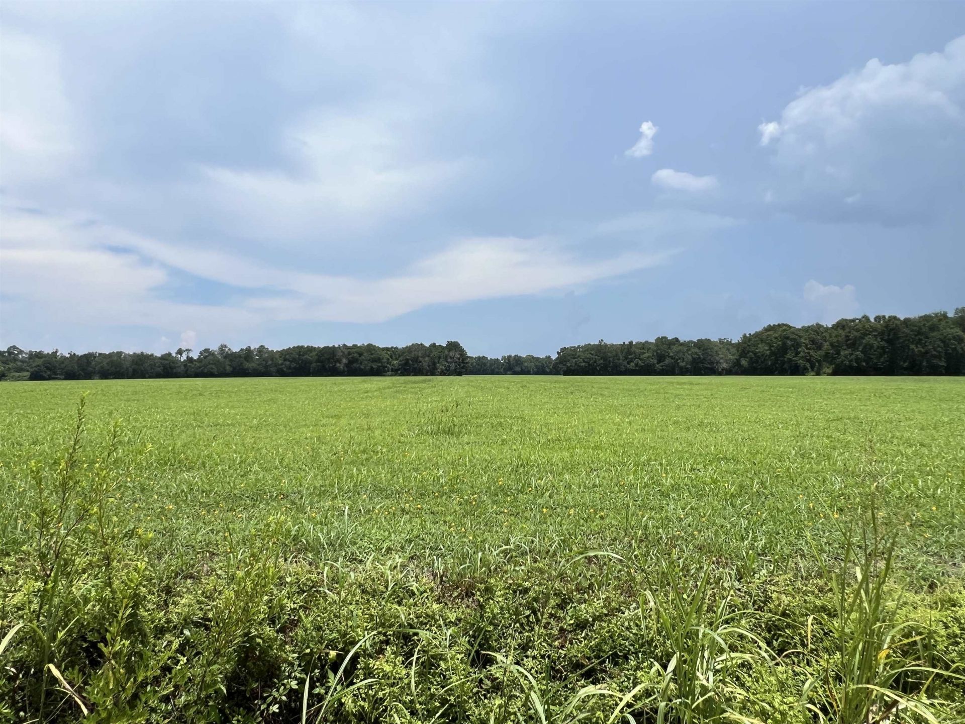 Xx Max Herrin Road , Quincy, FL 32351 Photo