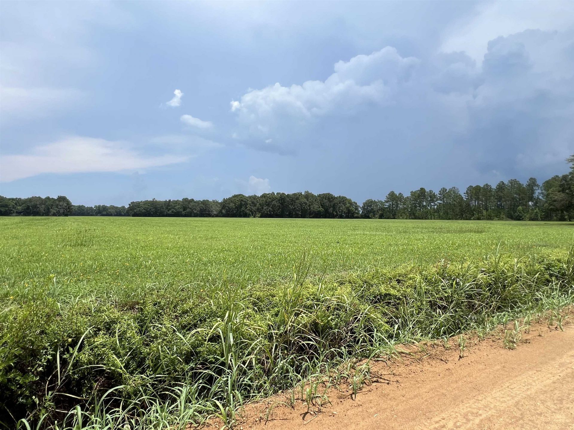 Xx Max Herrin Road , Quincy, FL 32351 Photo