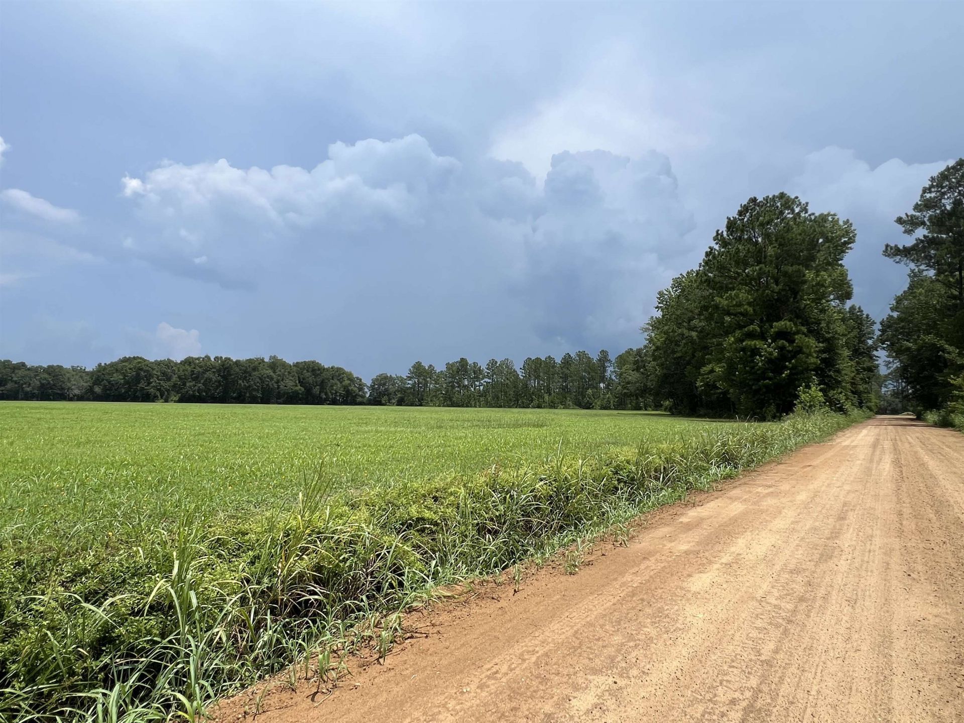Xx Max Herrin Road , Quincy, FL 32351 Photo