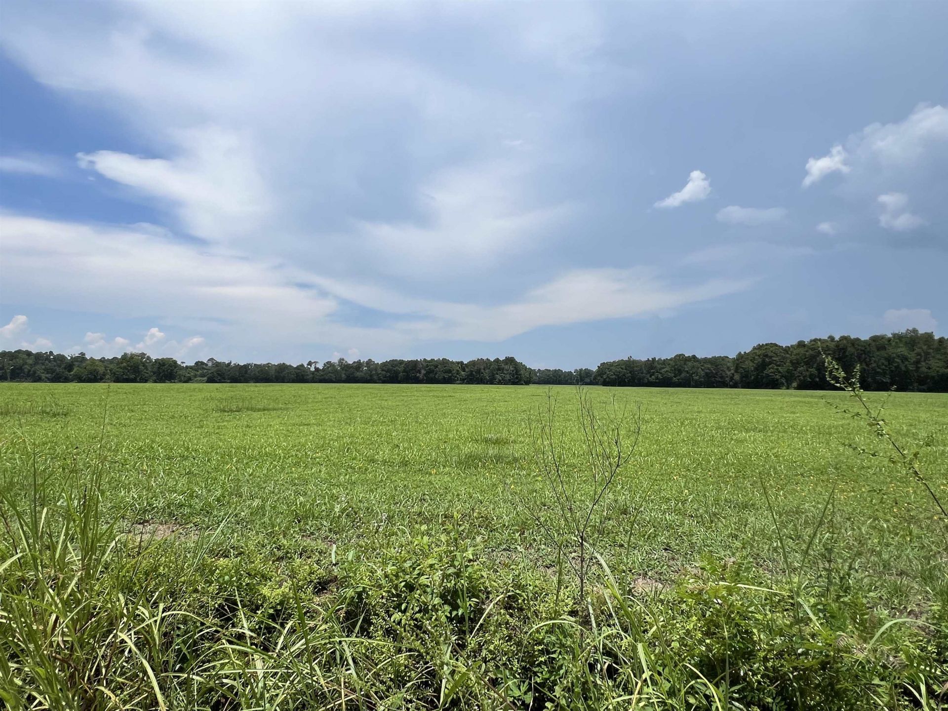 Xx Max Herrin Road , Quincy, FL 32351 Photo
