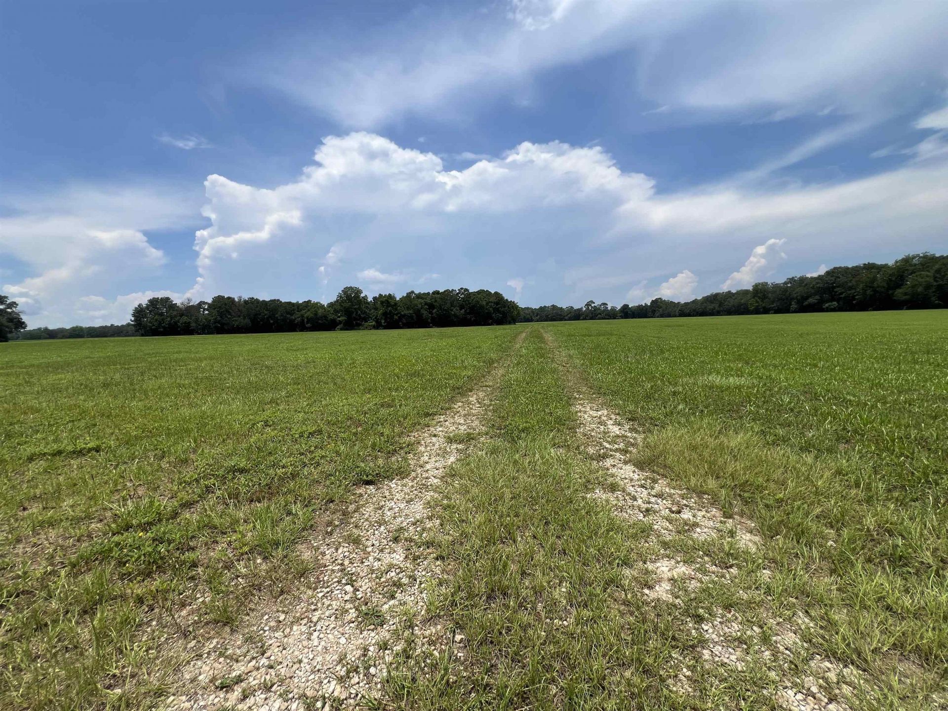 Xx Max Herrin Road , Quincy, FL 32351 Photo