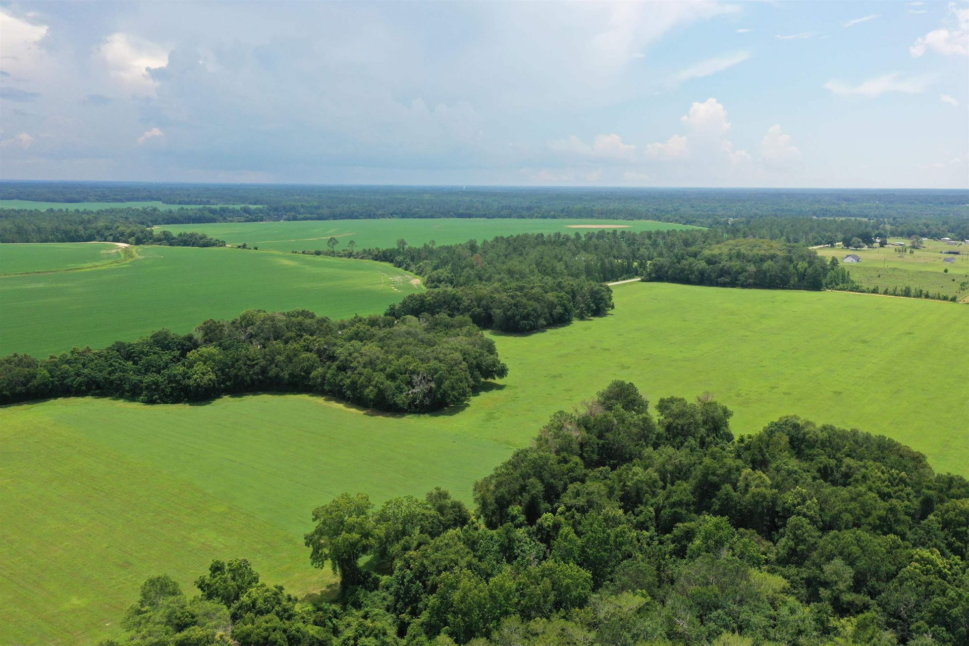 Xx Max Herrin Road , Quincy, FL 32351 Photo
