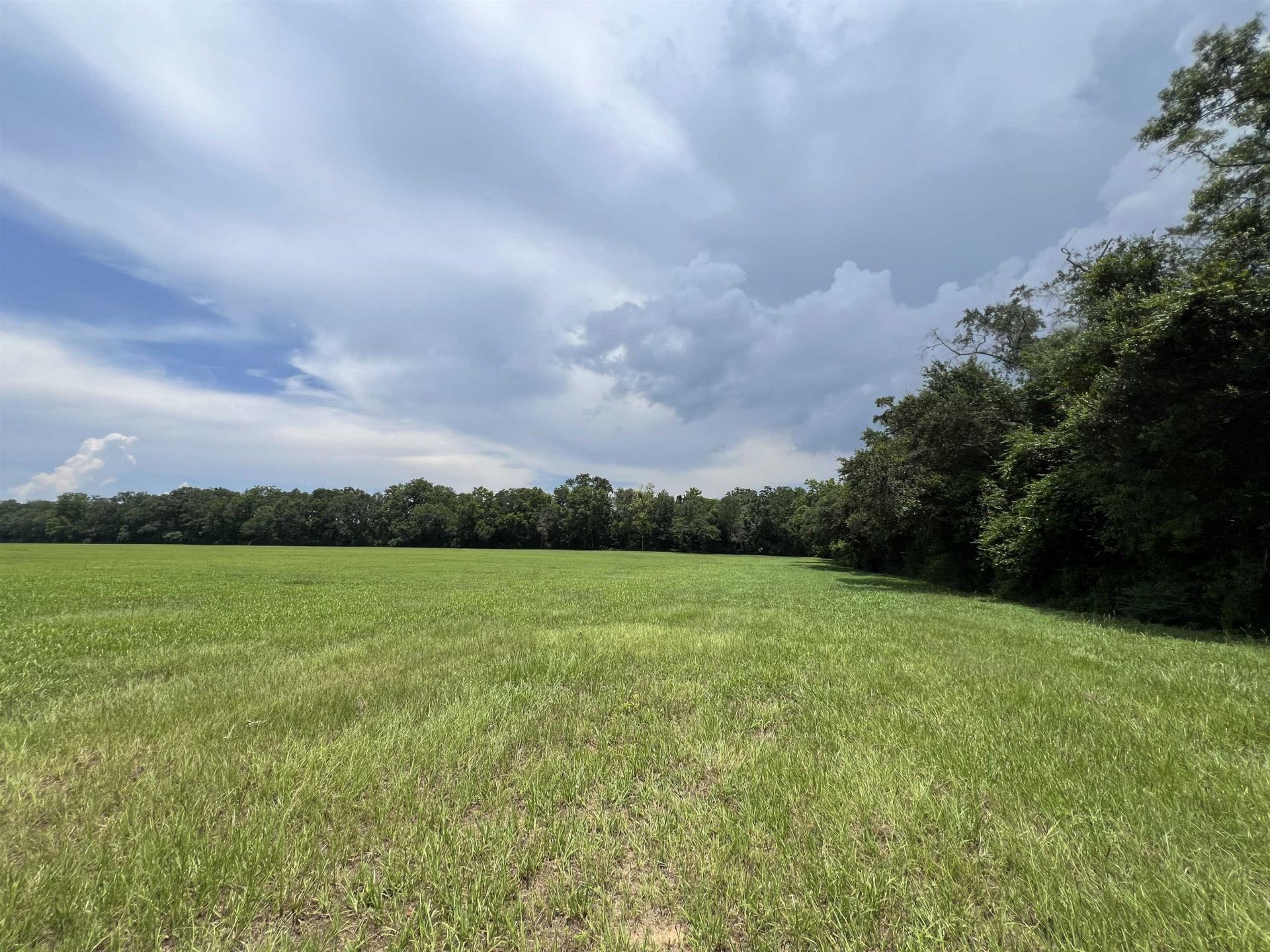 Xx Max Herrin Road , Quincy, FL 32351 Photo