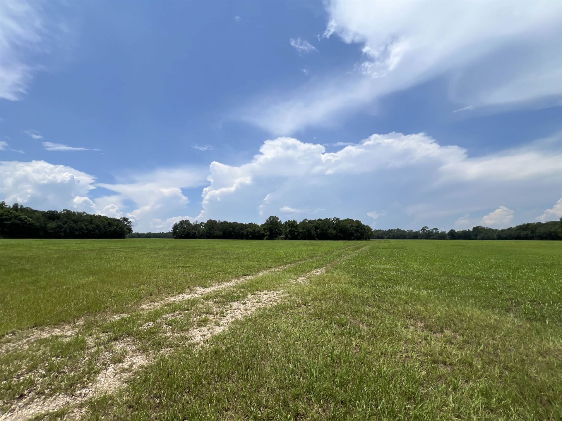 Xx Max Herrin Road , Quincy, FL 32351 Photo