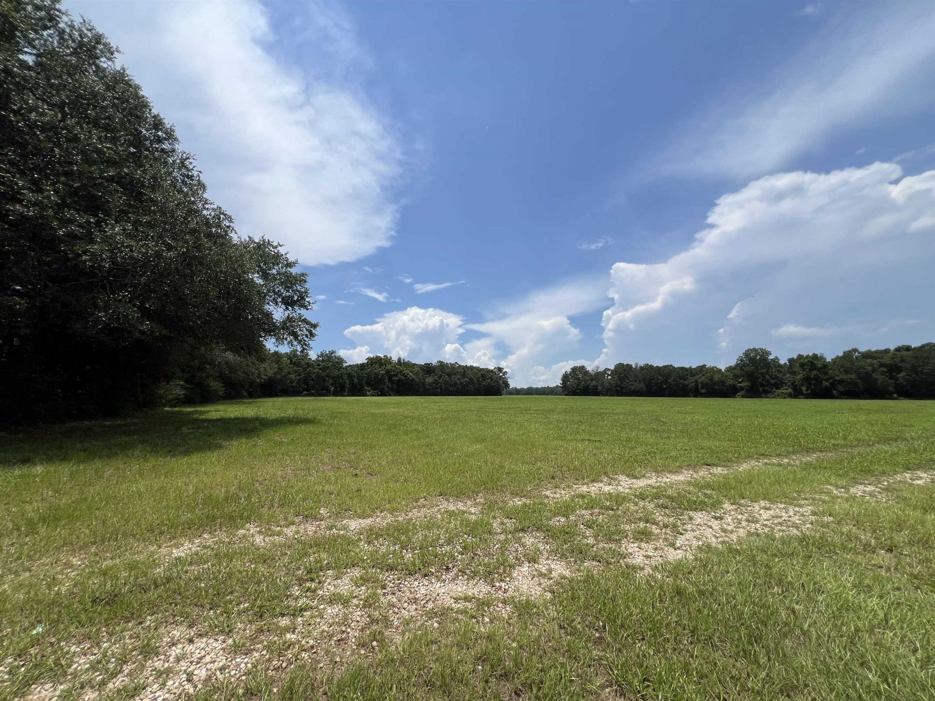 Xx Max Herrin Road , Quincy, FL 32351 Photo