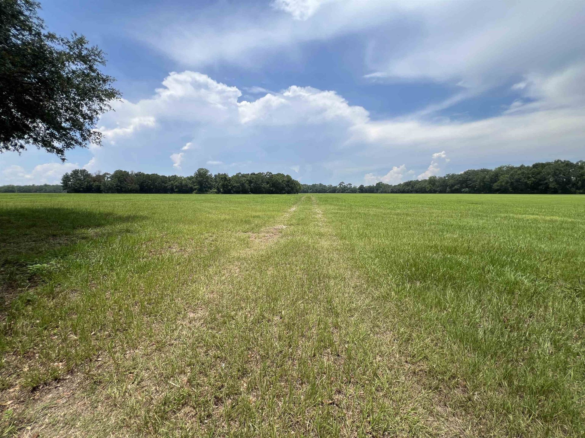 Xx Max Herrin Road , Quincy, FL 32351 Photo
