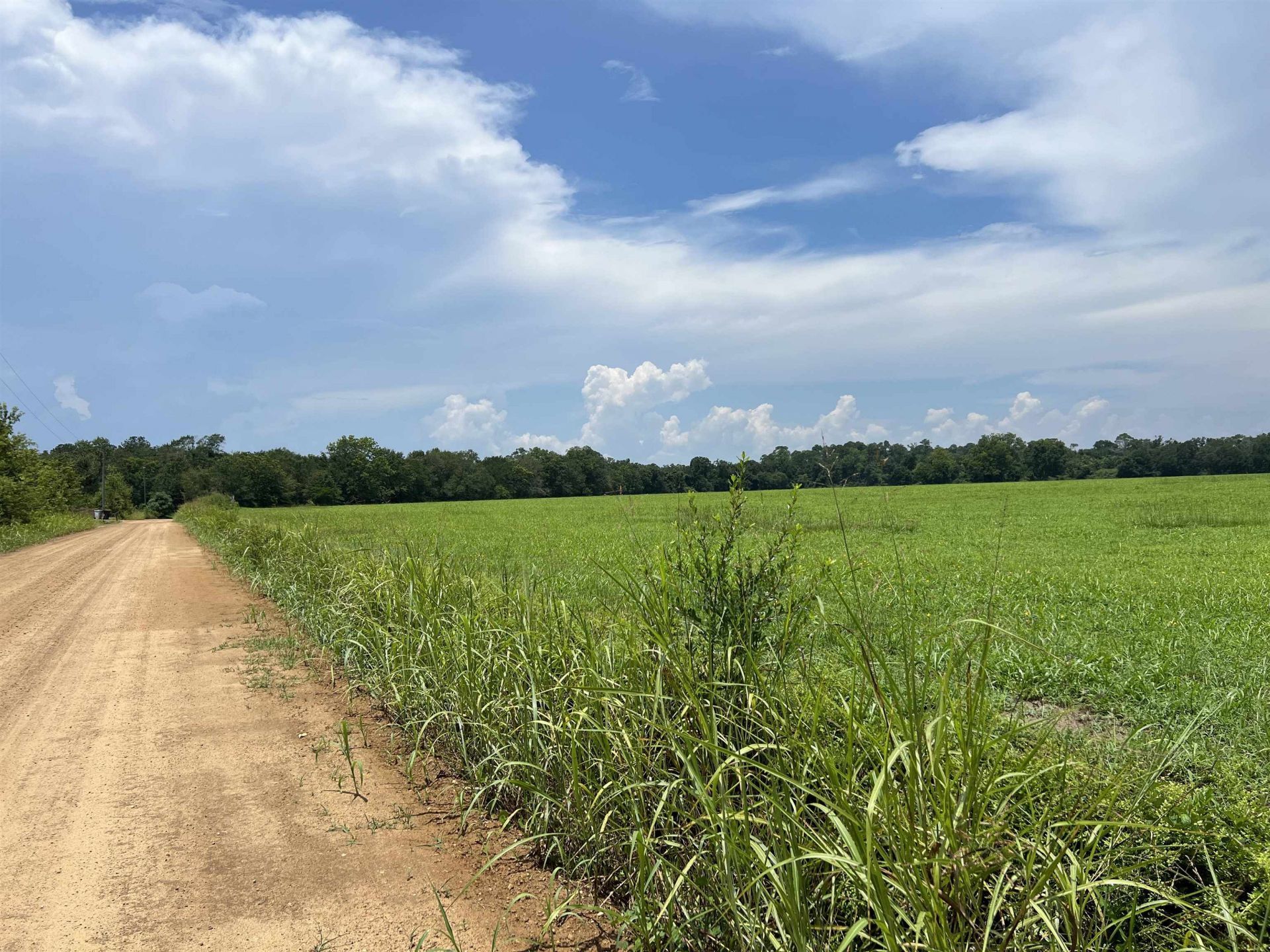 Xx Max Herrin Road , Quincy, FL 32351 Photo