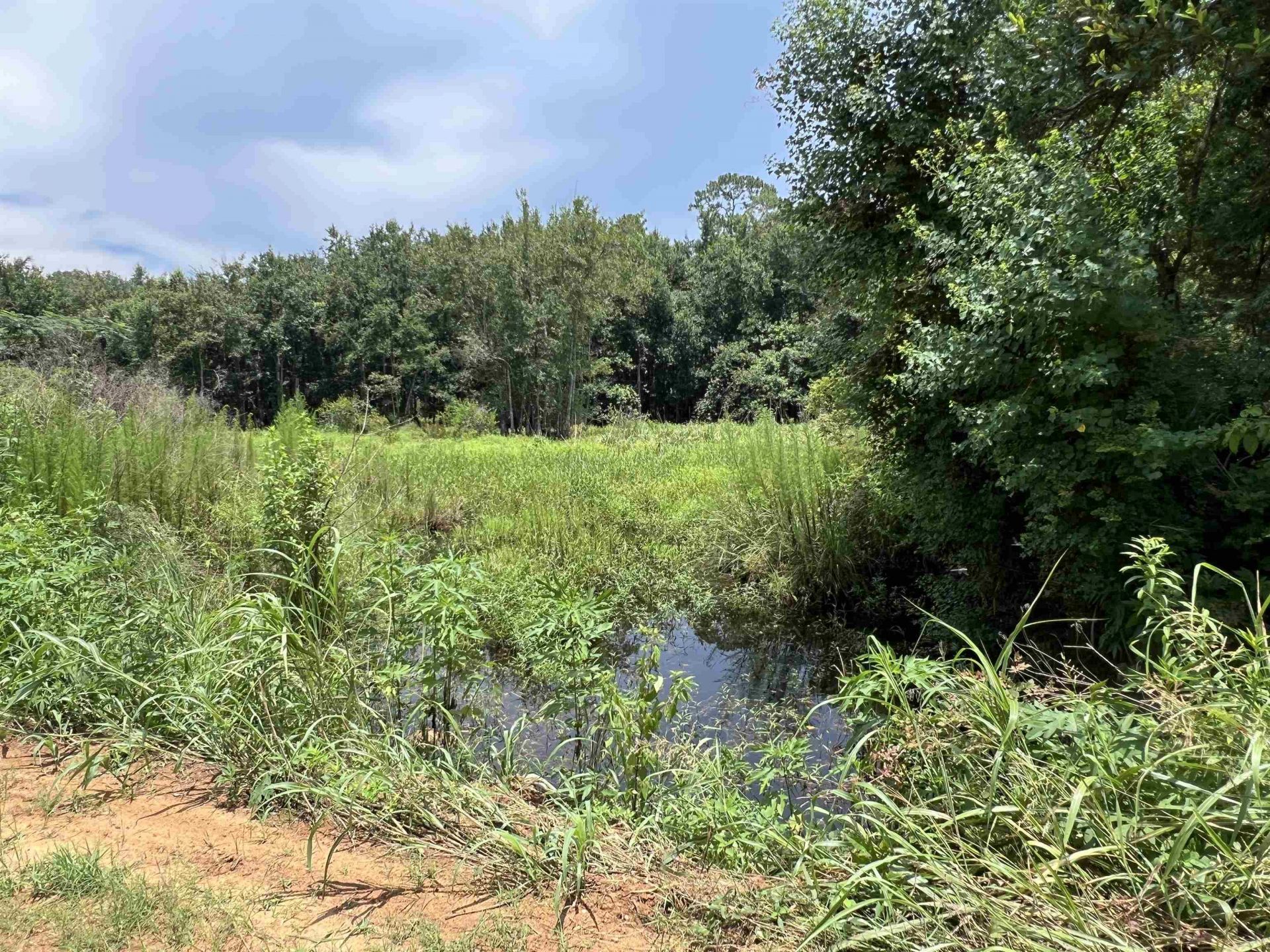 Xx Max Herrin Road , Quincy, FL 32351 Photo