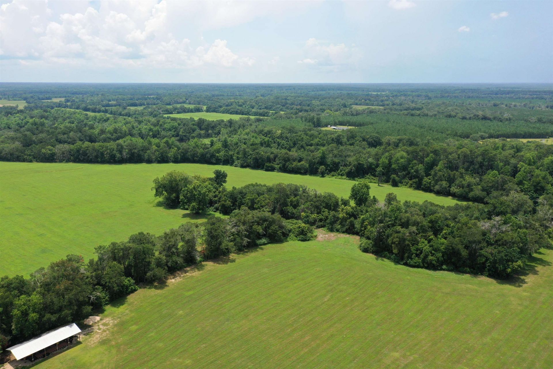 Xx Max Herrin Road , Quincy, FL 32351 Photo