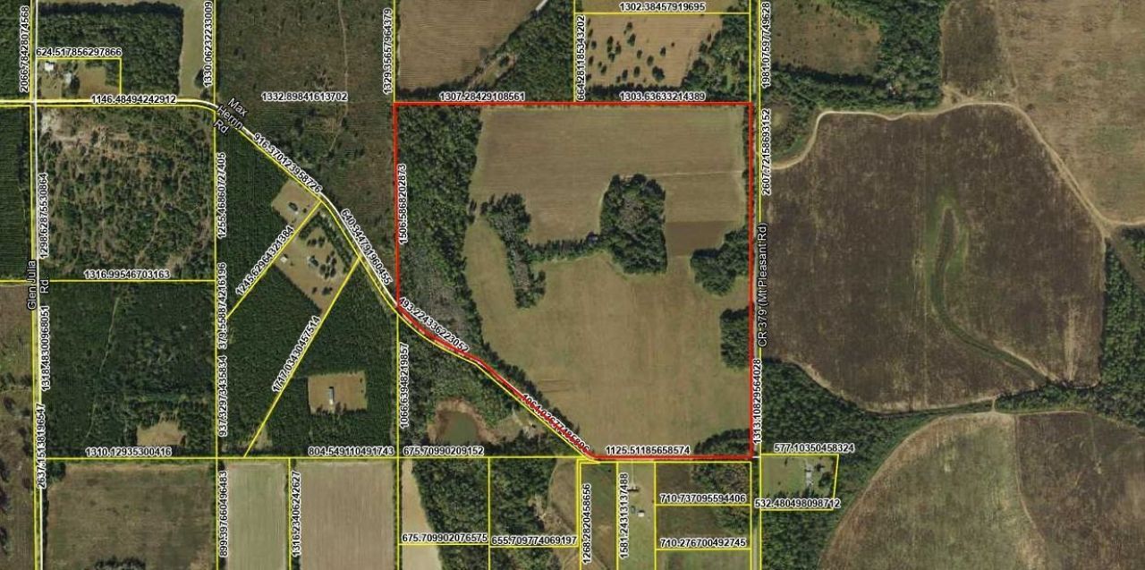 Xx Max Herrin Road , Quincy, FL 32351 Photo