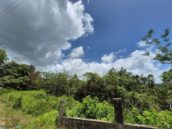 794 CARRETERA ESTATAL 794, SECTOR LA VEGA, BO. SUM, Aguas Buenas, PR 00703
