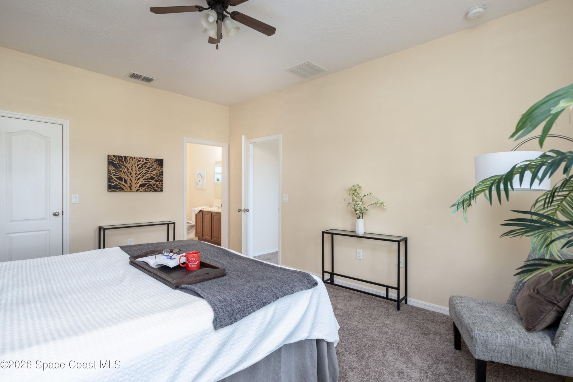 471 Bluefields Street SE , Palm Bay, FL 32909 Photo