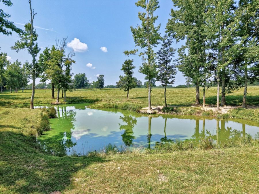 Property Image 60