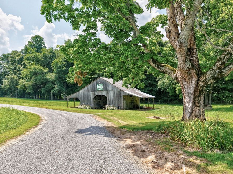 Property Image 33