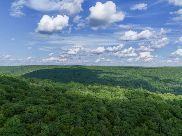 X Wilderness Trail , Forestburgh, NY 12777