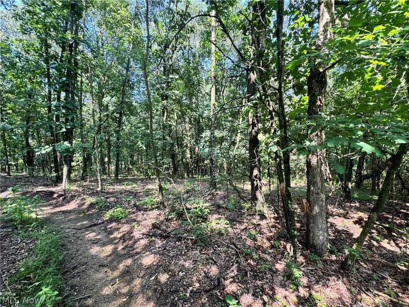 47308 Chippewa Trail, Negley, OH 44441 Photo 7