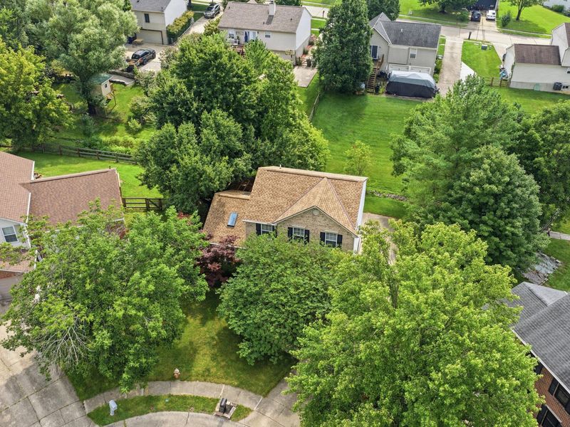 9891 Potomac Court, Independence, KY 41051 Photo 32