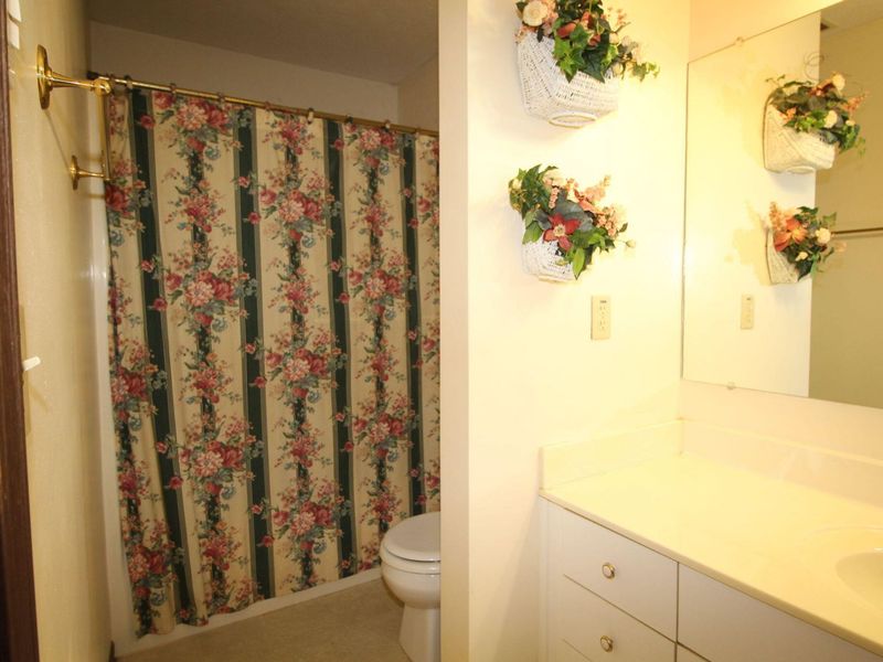 623 Mill Street, North Lewisburg, OH 43060 Photo 28