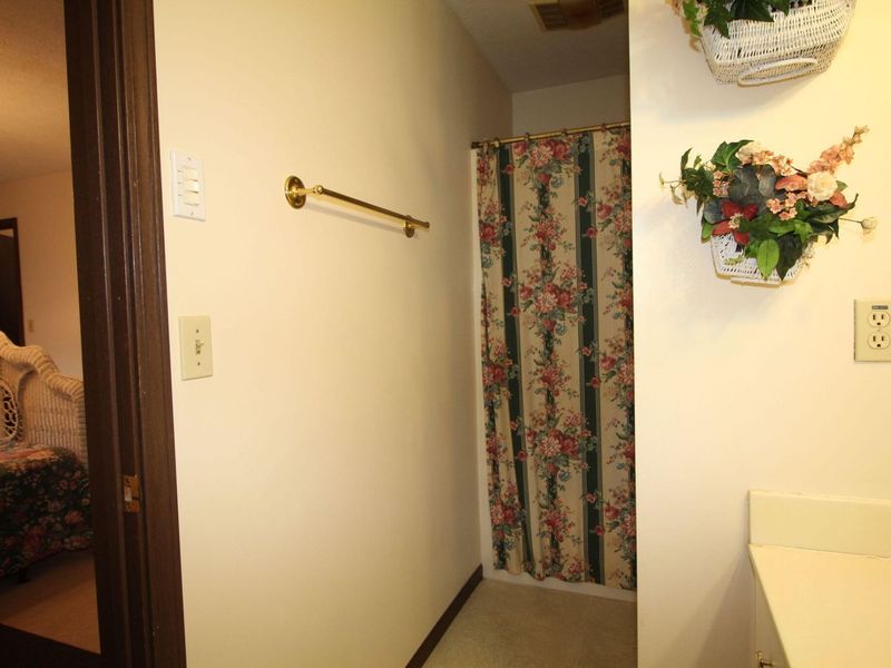 623 Mill Street, North Lewisburg, OH 43060 Photo 29