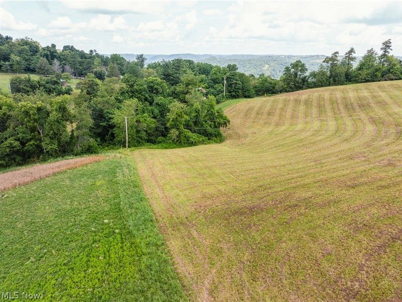 50109 Sykes Ridge Road, Clarington, OH 43915 Photo 16